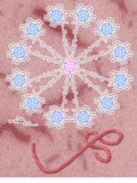 Dendrimère géant comportant 120 unités mannoses périphériques. Ce composé a une très forte affinité pour le récepteur DC-SIGN qui est utilisée par le virus Ebola (représenté en bas) pour s’introduire dans sa cellule hôte. Il se lie à DC-SIGN