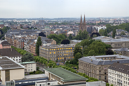 La tour, point culminant de Strasbourg après la cathédrale, offre un panorama imprenable sur les environs et le territoire de chasses des faucons. Crédit : Catherine Schröder, Unistra.