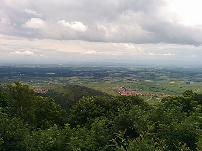 La vue sur la plaine d'Alsace vaut le détour...
