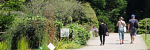 Le jardin botanique reste ouvert pendant l'été