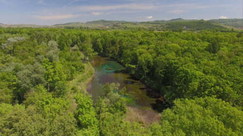 Le fleuve invisible est à l'origine d'un biotope riche et varié : ici une forêt alluviale, ou forêt inondable. Crédit : Serge Dumont.