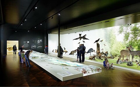 Parmi les espaces d'exposition semi-permanents, une galerie consacrée aux écosystèmes du Rhin, à la scénographie adaptable aux actions de médiation. DR