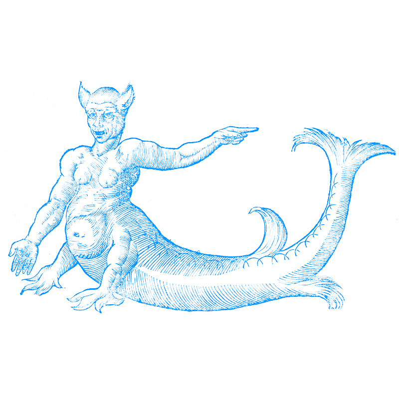 Illustration | Monstrorum Historia d'Ulisse Aldrovandi