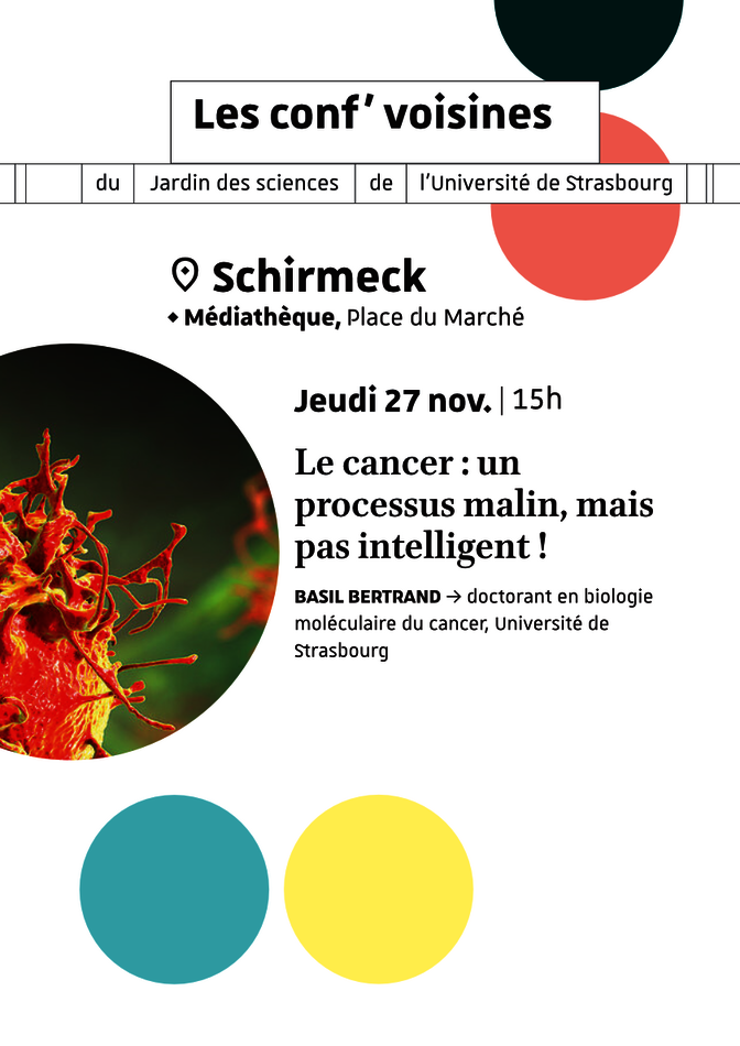 Le cancer : un processus malin, mais pas intelligent