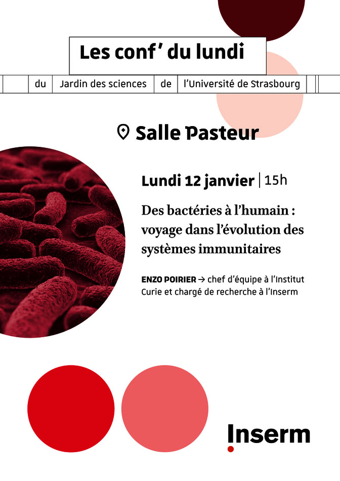 Des bactéries à l’humain : voyage dans l’évolution des systèmes immunitaires 