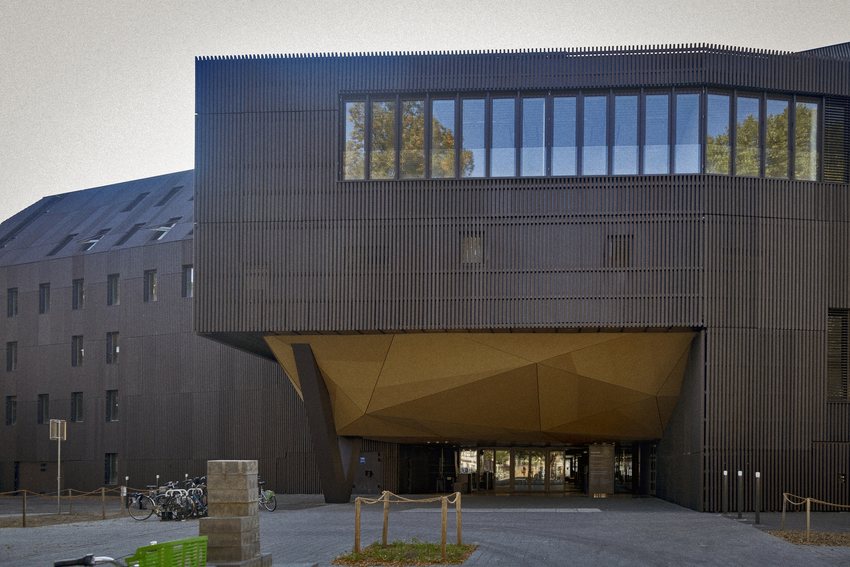 Le cardo. © Schroder/Unistra